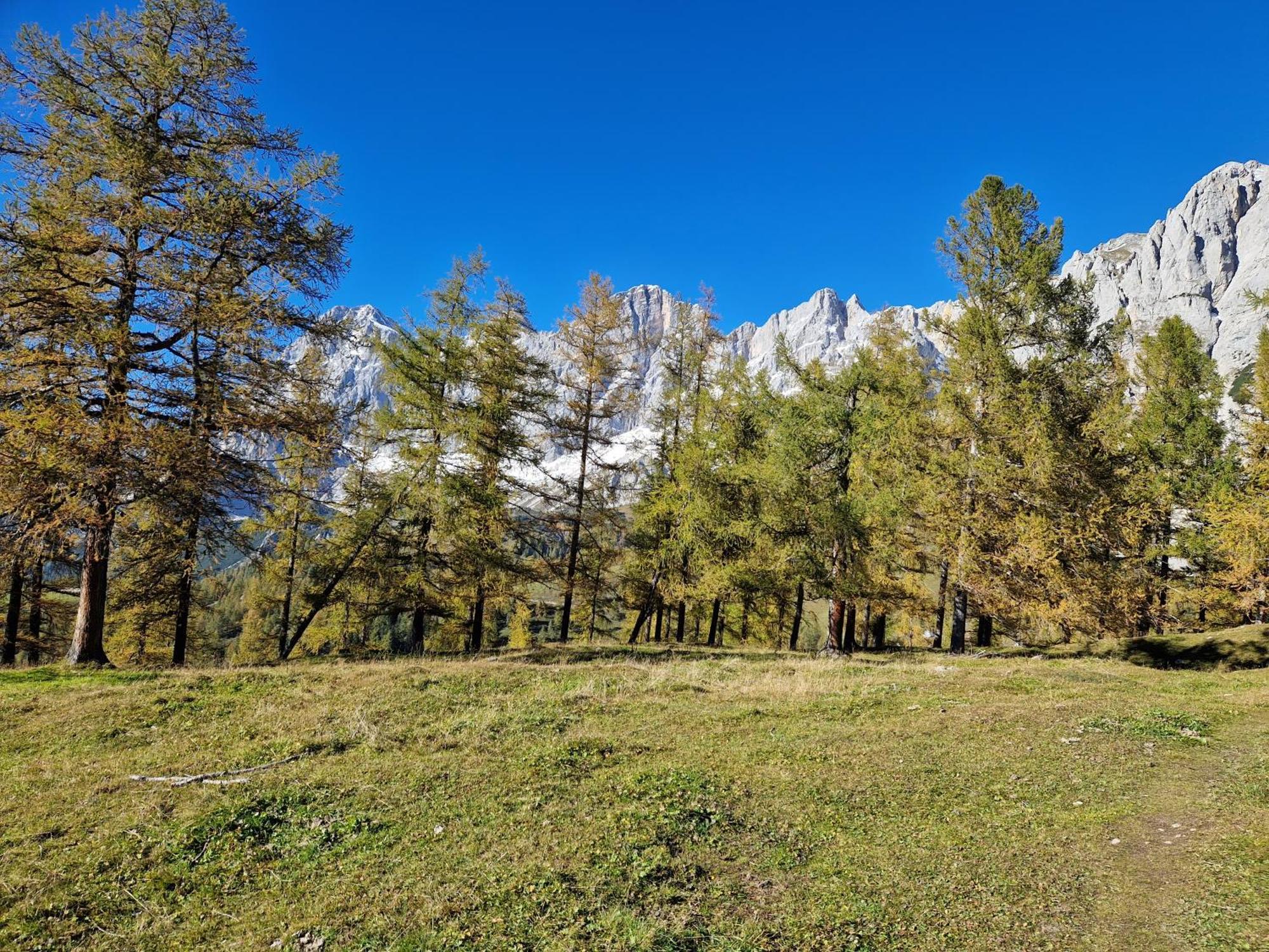 Romantikapartment Mit Sommercard Ramsau am Dachstein Exterior photo